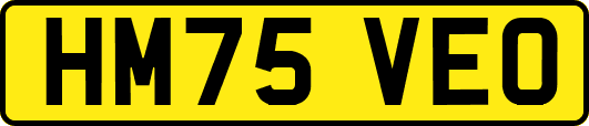 HM75VEO
