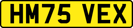 HM75VEX