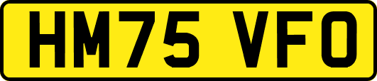 HM75VFO