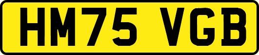 HM75VGB