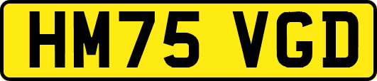 HM75VGD