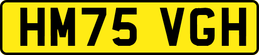 HM75VGH