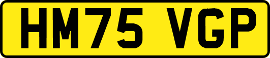 HM75VGP