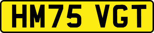 HM75VGT