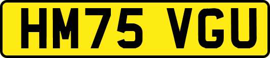 HM75VGU