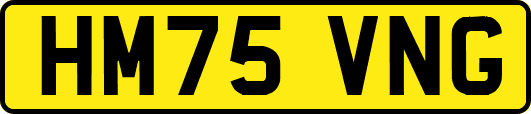 HM75VNG