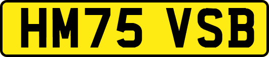 HM75VSB