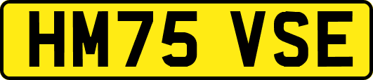 HM75VSE