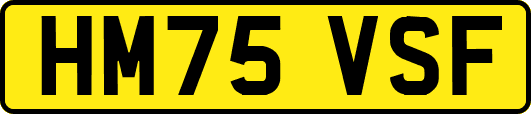 HM75VSF