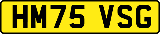 HM75VSG