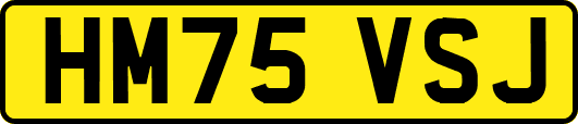 HM75VSJ