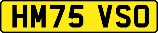 HM75VSO