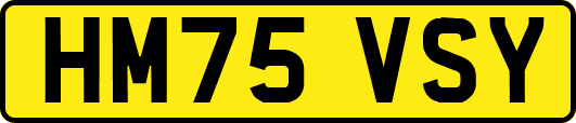 HM75VSY