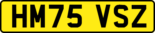 HM75VSZ