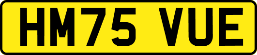 HM75VUE