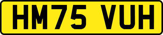 HM75VUH