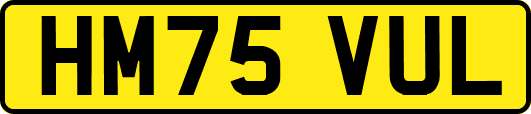 HM75VUL