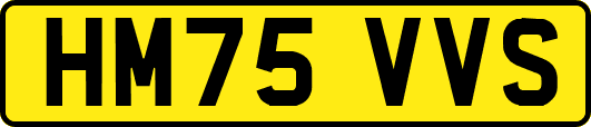 HM75VVS