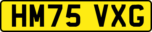 HM75VXG