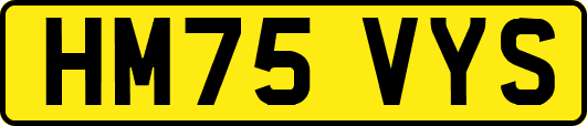 HM75VYS