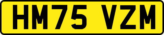 HM75VZM