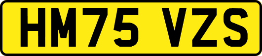 HM75VZS