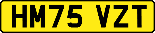HM75VZT