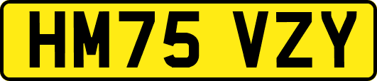 HM75VZY