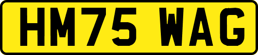 HM75WAG
