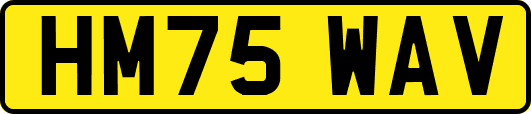 HM75WAV