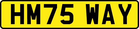 HM75WAY