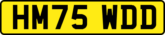 HM75WDD