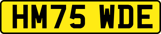HM75WDE