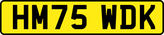 HM75WDK