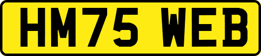 HM75WEB