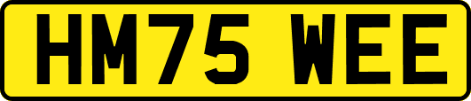 HM75WEE