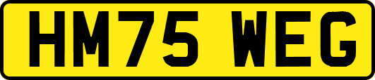 HM75WEG