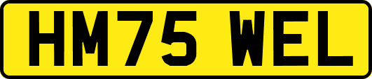 HM75WEL