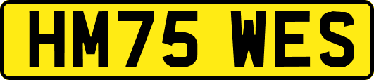 HM75WES