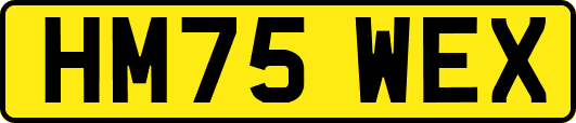 HM75WEX
