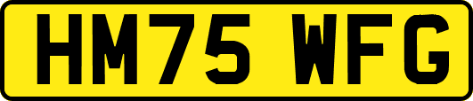 HM75WFG