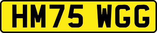 HM75WGG