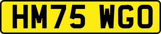 HM75WGO
