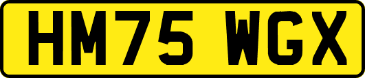 HM75WGX