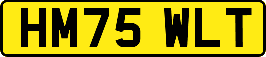HM75WLT
