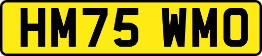 HM75WMO