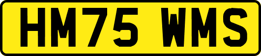 HM75WMS