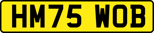 HM75WOB