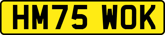 HM75WOK