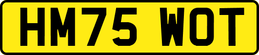 HM75WOT